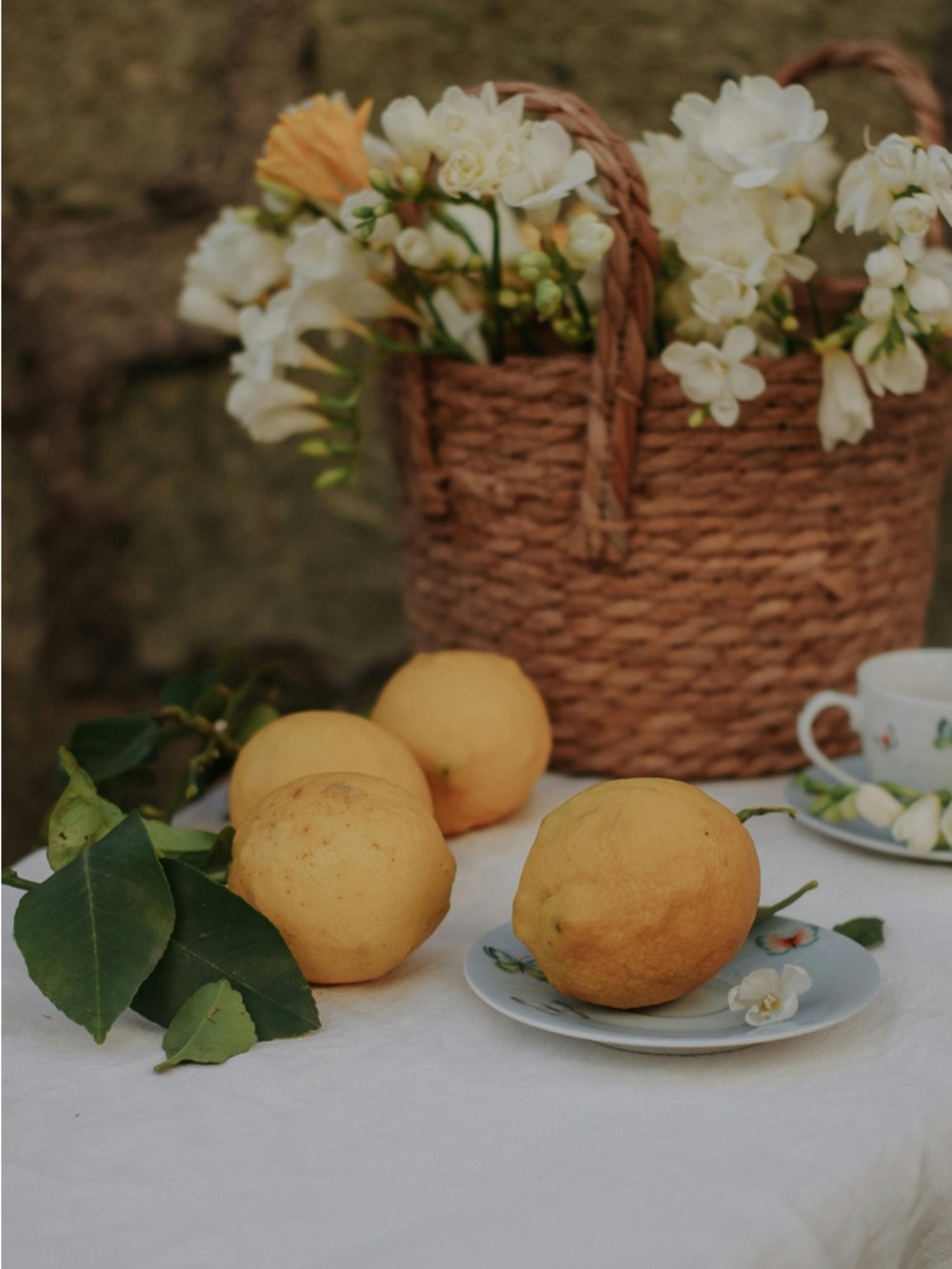 ✨ 101-200 unlisted inventory✨